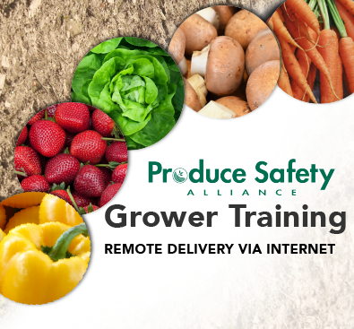 PSA Training Remote Delivery